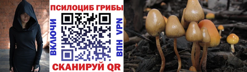 Галлюциногенные грибы ЛСД  Абакан 